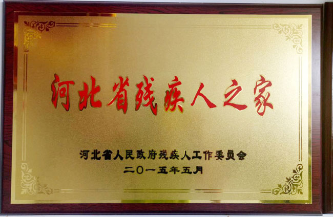 河北省孤独症定点康复机构