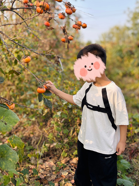 微信图片_20241015160752