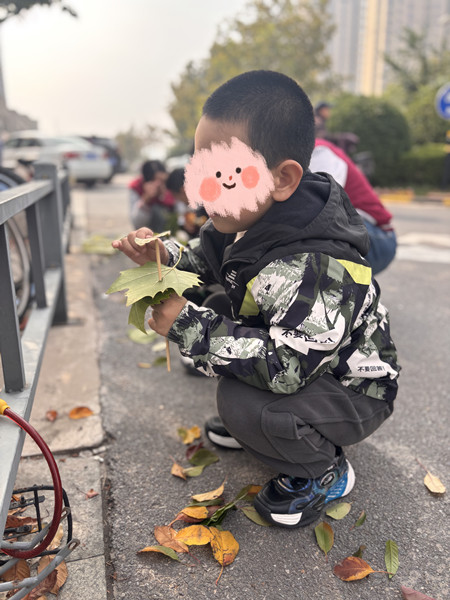微信图片_20241028163917